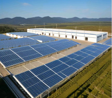 00b6433bf4c6c2618fac8e13ff8c6a8.png 00b6433bf4c6c2618fac8e13ff8c6a8.png